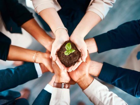 imagem close de vários empresários com as mãos juntas, segundo uma pequena planta em um montinho de terra, simbolizando a sustentabilidade corporativa