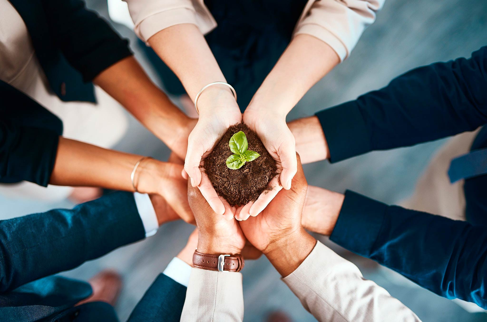 imagem close de vários empresários com as mãos juntas, segundo uma pequena planta em um montinho de terra, simbolizando a sustentabilidade corporativa